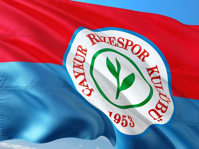 病后的康复 病后的康复