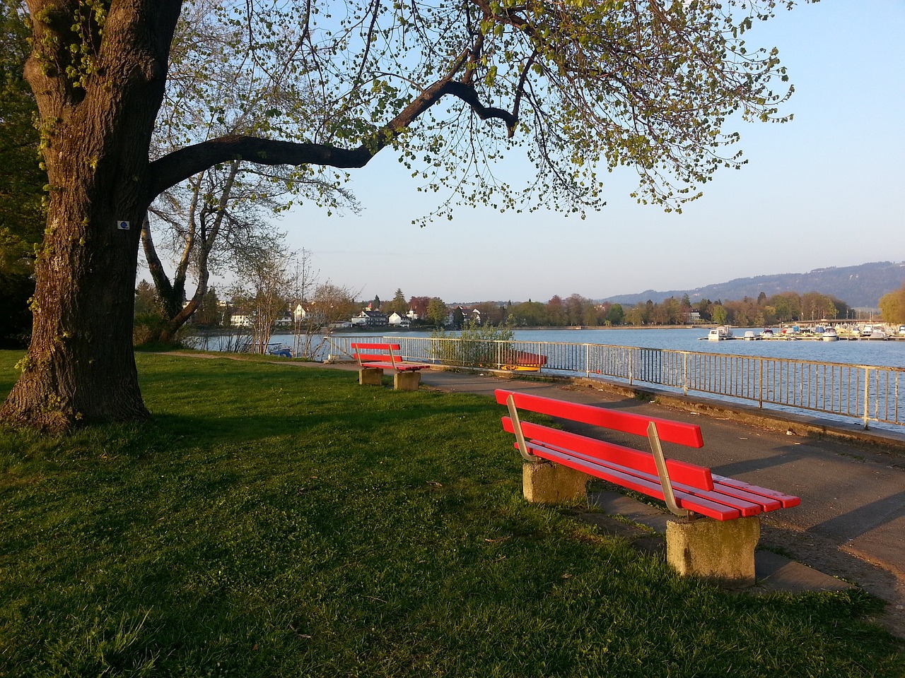 的具体表现 的具体表现