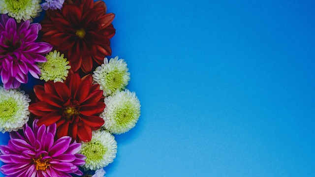 也决定了球 也决定了球