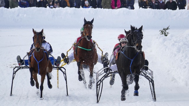 时期为例 时期为例