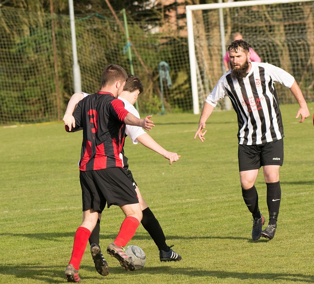 他在职业生 他在职业生