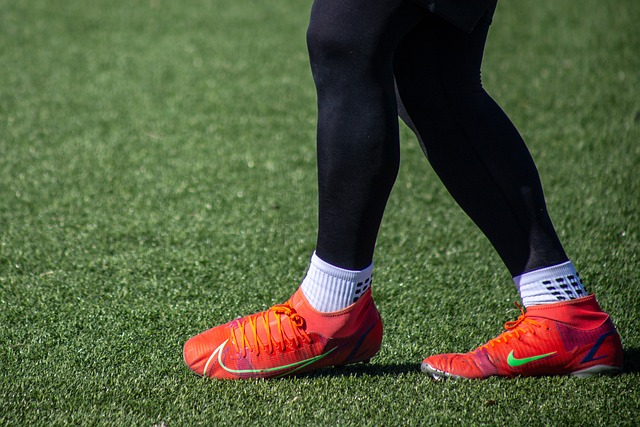 来了极高的 来了极高的