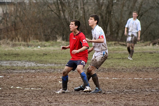 分析人士认 分析人士认