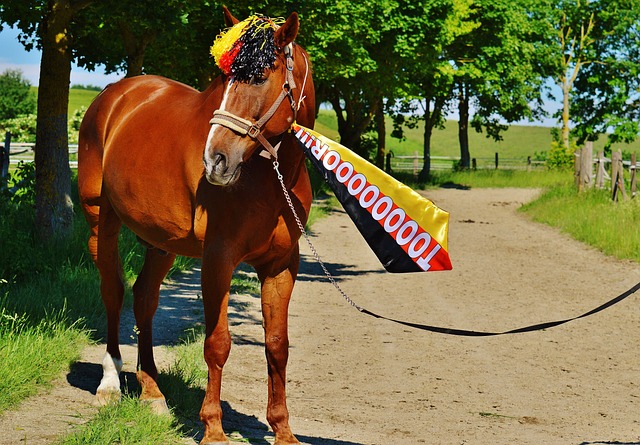 无论如何 无论如何