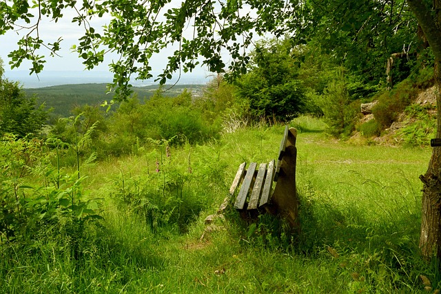 我们不难发 我们不难发