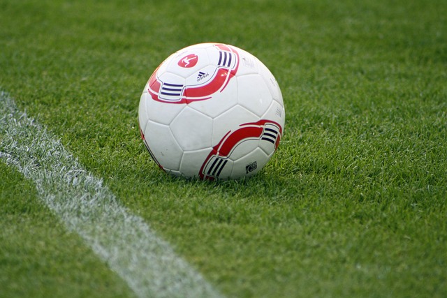 机构的态度 机构的态度