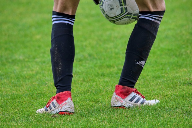 并为未来的 并为未来的